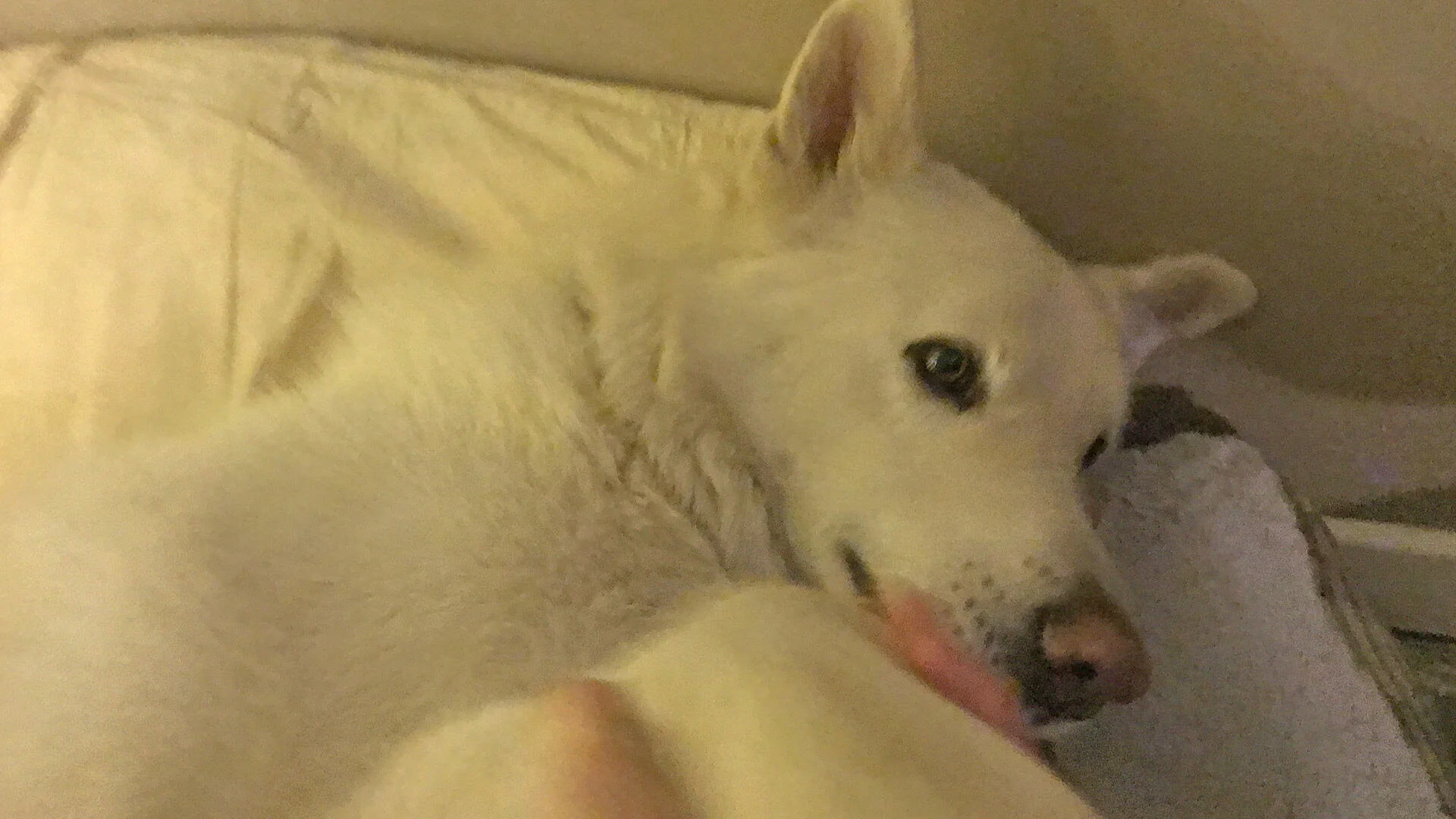 Aspen