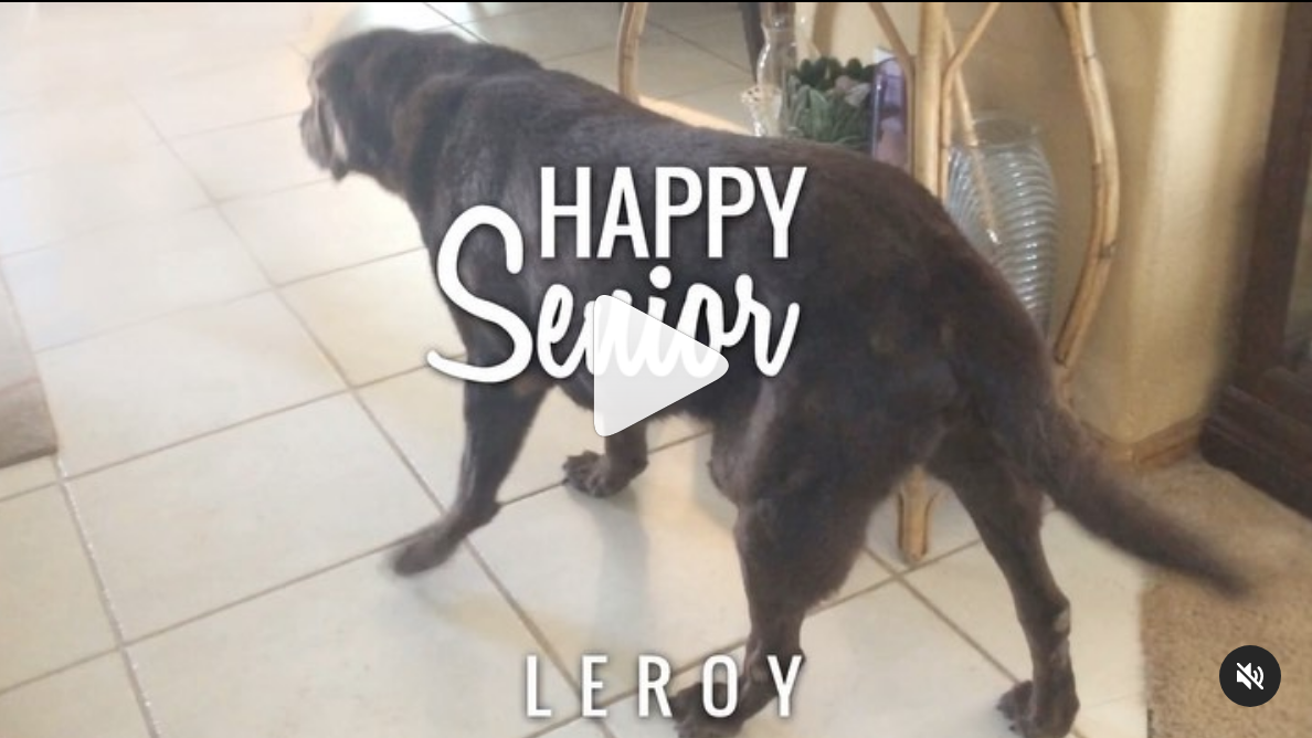 The Progress of Leroy