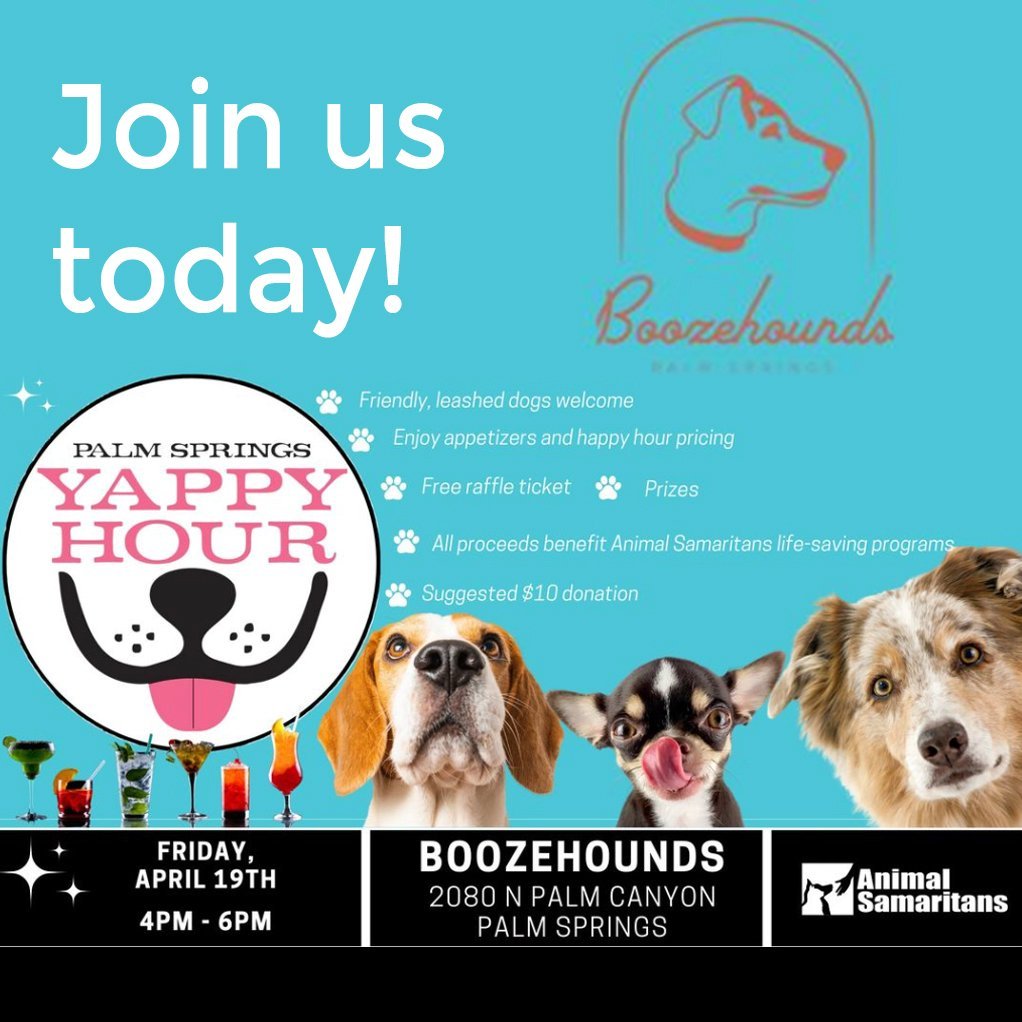 Bring your friendly, leashed canine companion and join Animal Samaritans for Yappy Hour at Boozehounds on Friday, April 19th, from 4pm - 6pm on the beautiful, and spacious Boozehounds patio.

Enjoy delicious, light appetizers and happy hour pricing. 