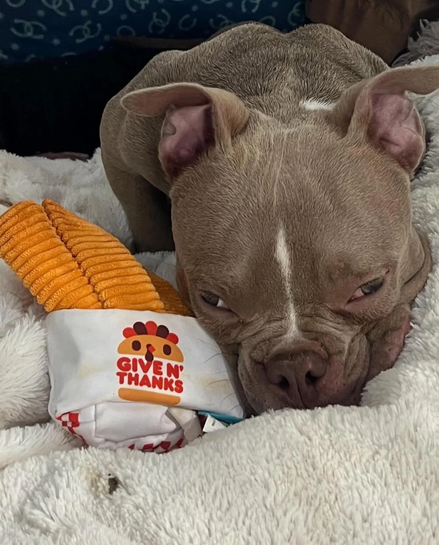 Happy Thanksgiving, I&rsquo;m grateful for you. 🍁🧡🍁Be blessed