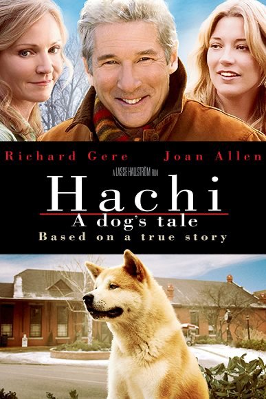 Hachi.jpg