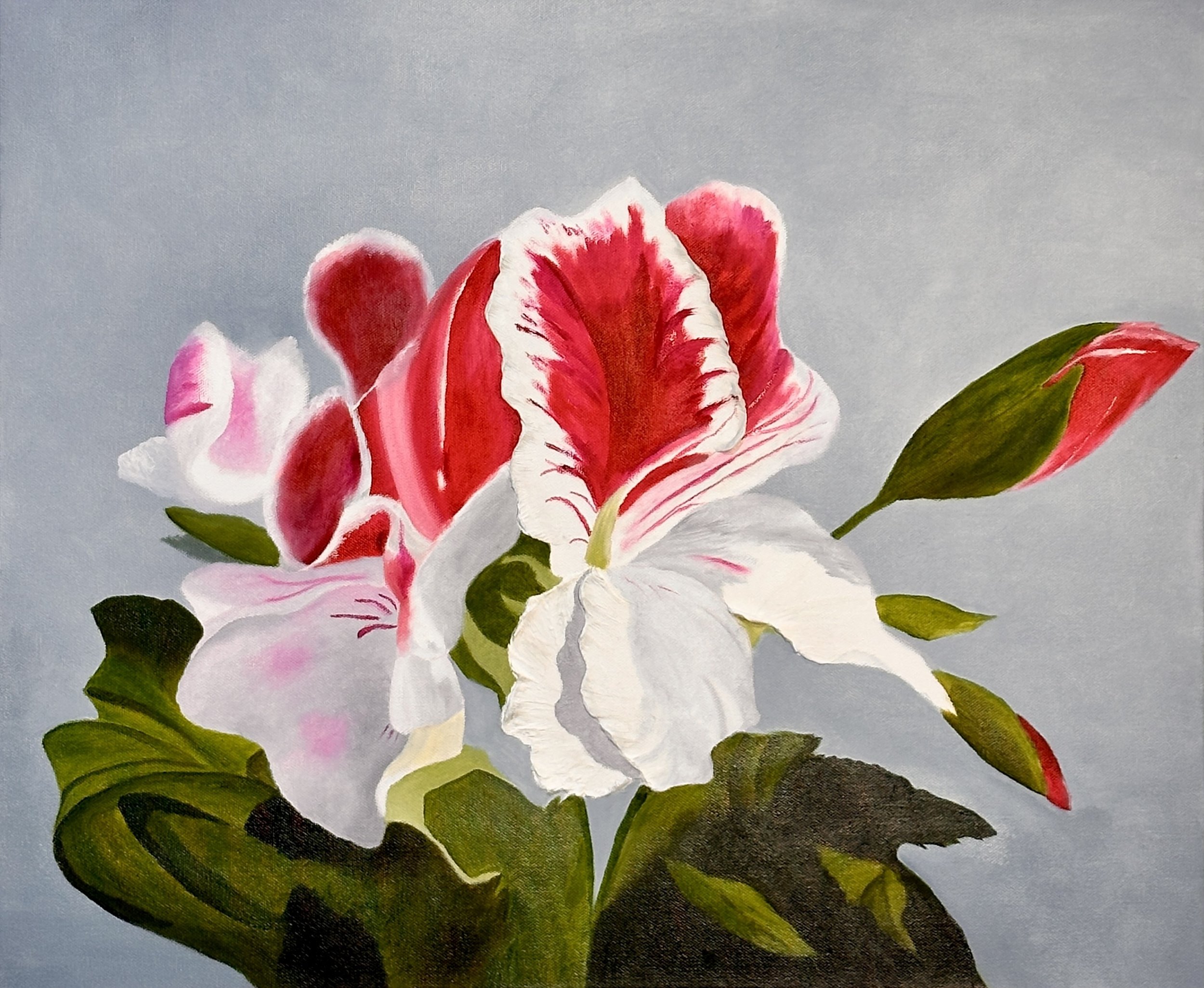 Petals of Passion (20x24 inches)