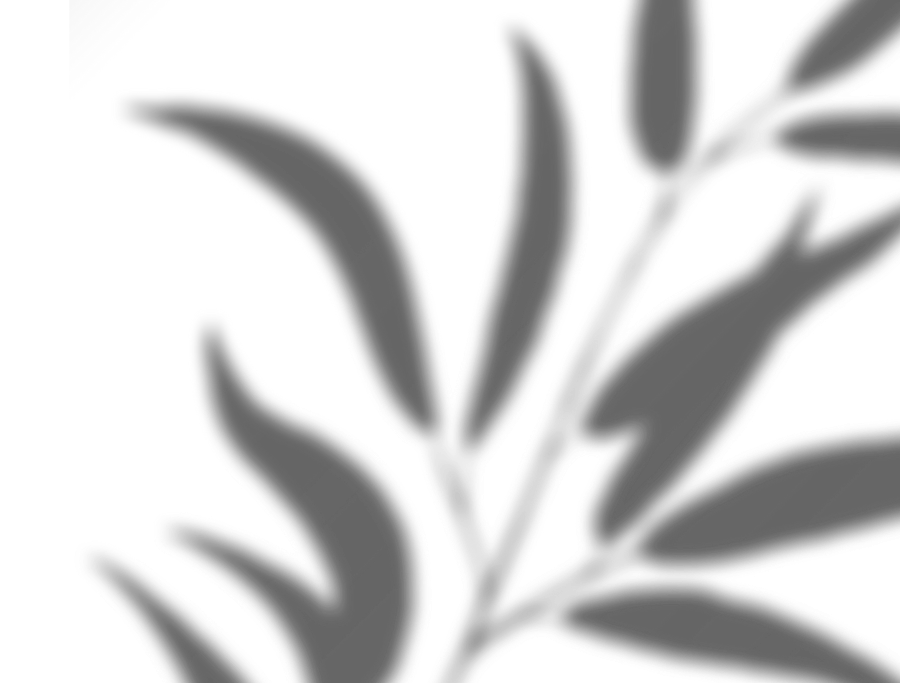Abstract black leaves on white background