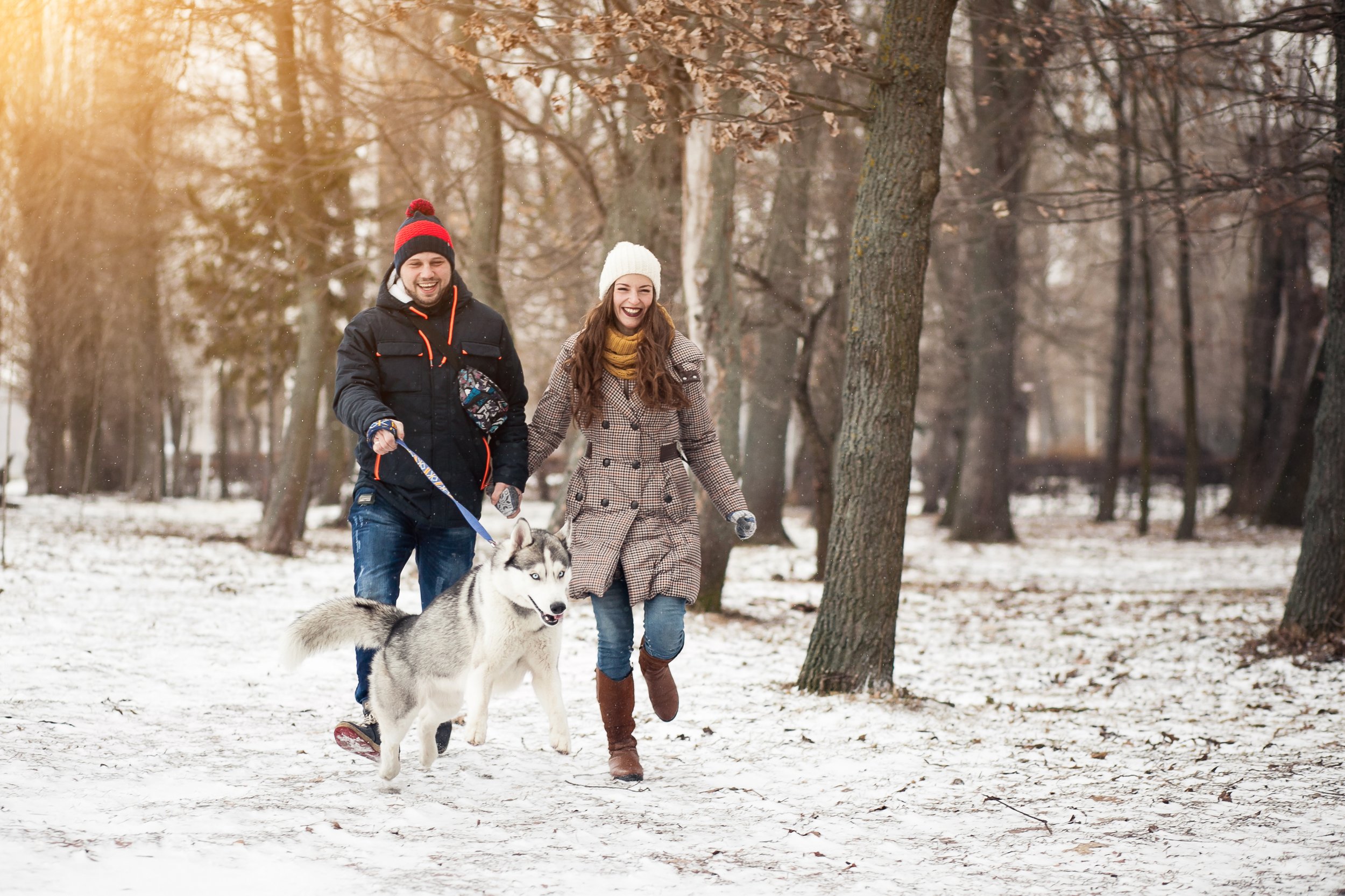 Walking snow rum перевод. Прогулка зимой. Прогулка с собакой. Прогулка с собакой зима. Собака гуляет зимой.