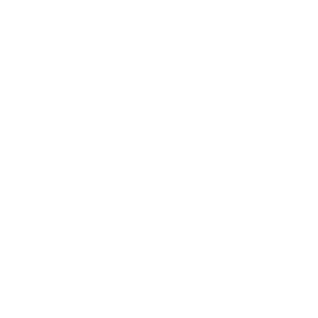SimpleTech
