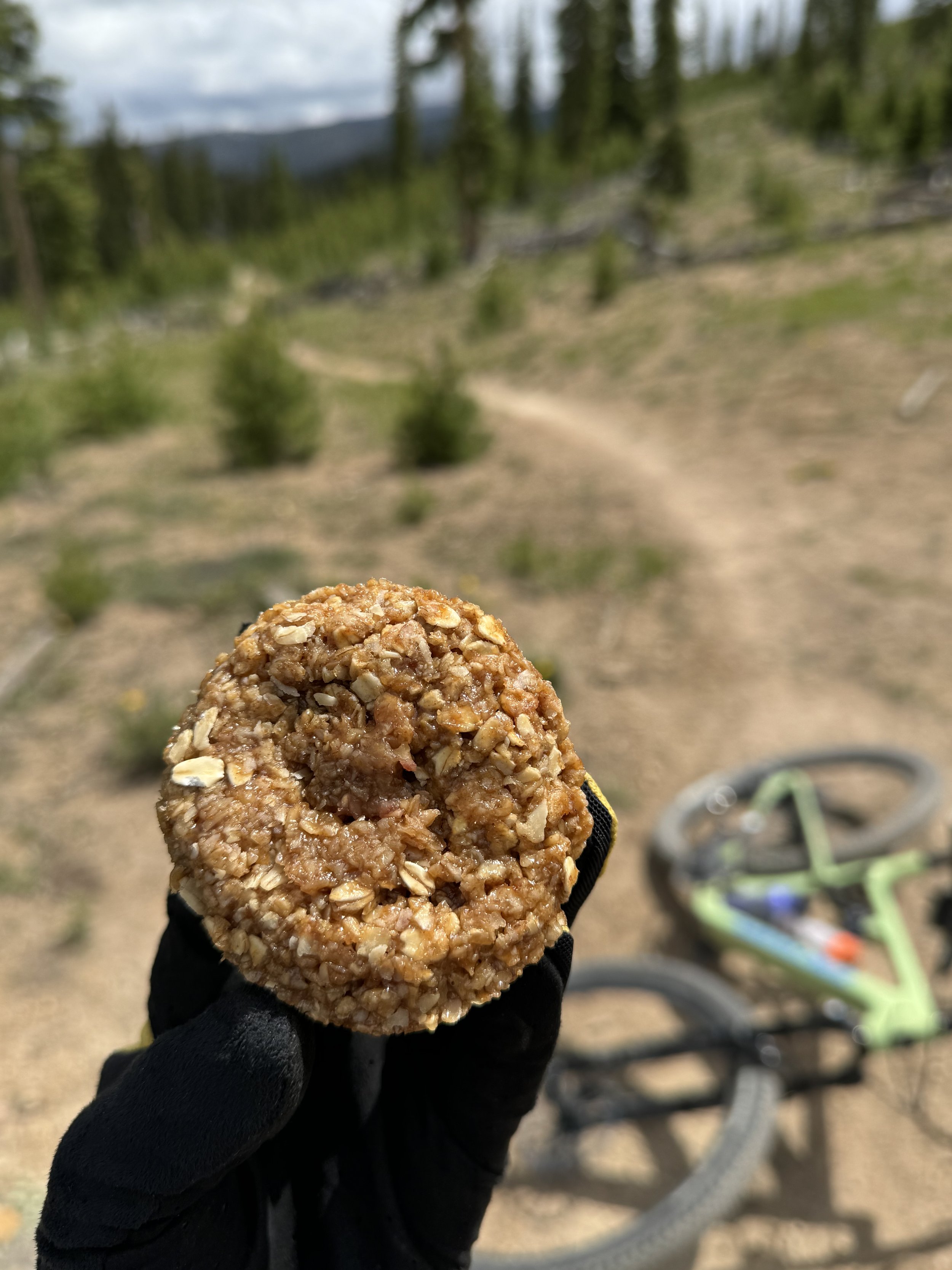 Portable PBJ and Oat Sandwiches.jpeg