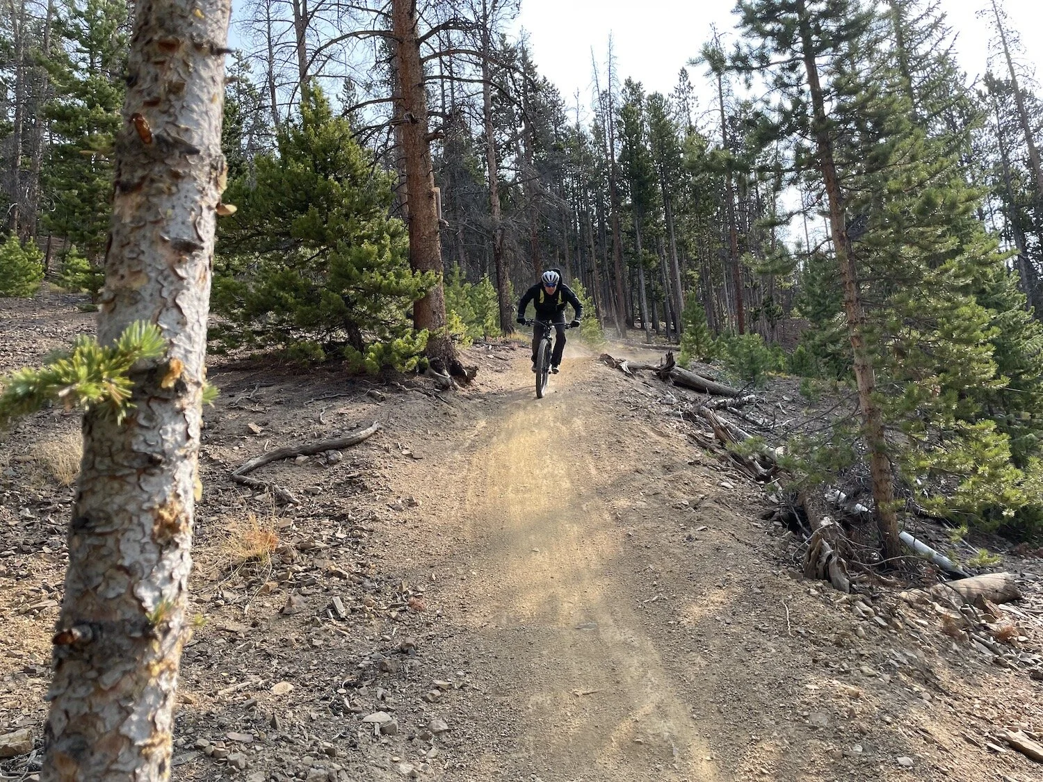 Bruce riding down sidedoor in breckenridge