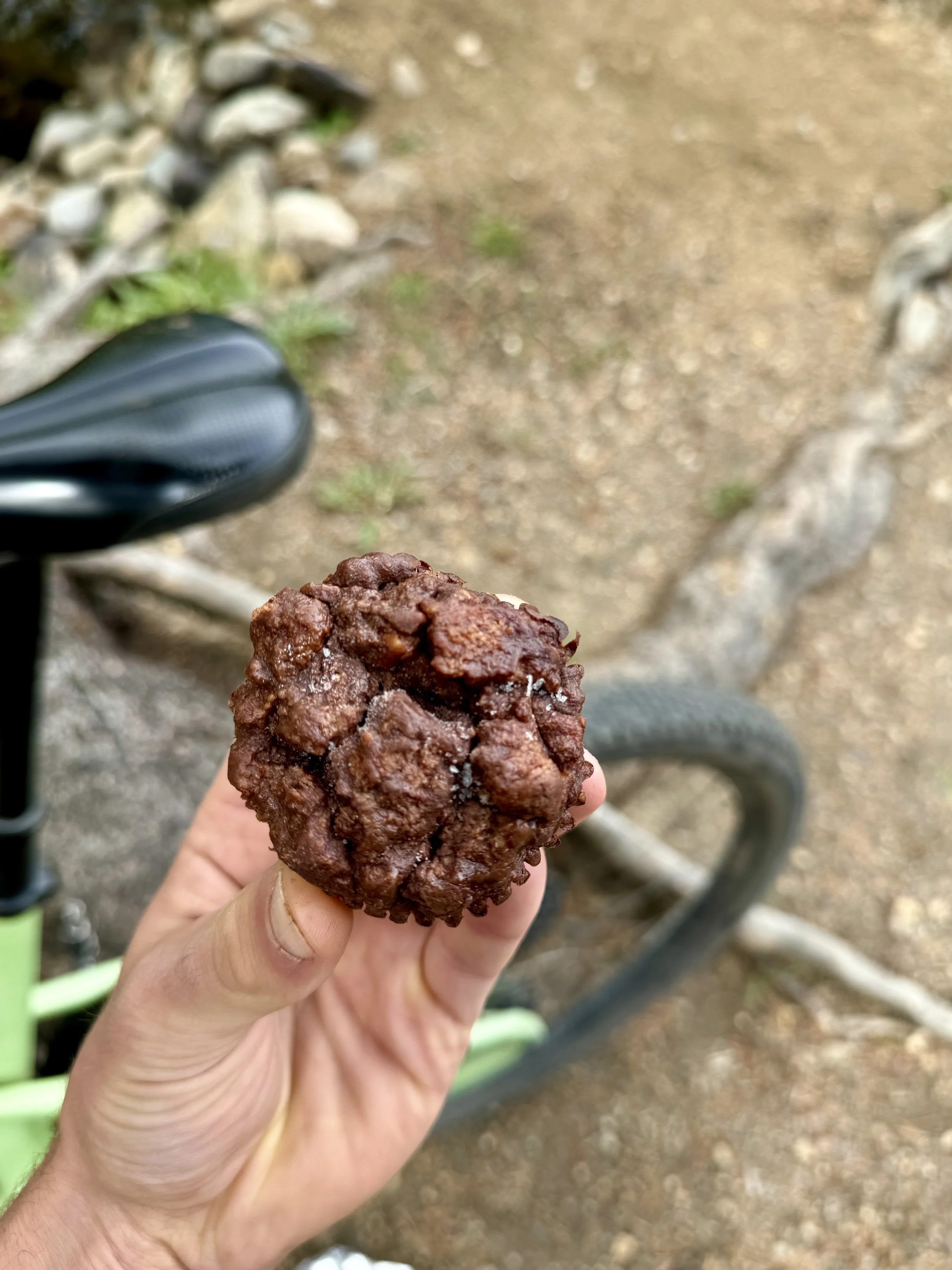 Chocolate Banana Date Cakes
