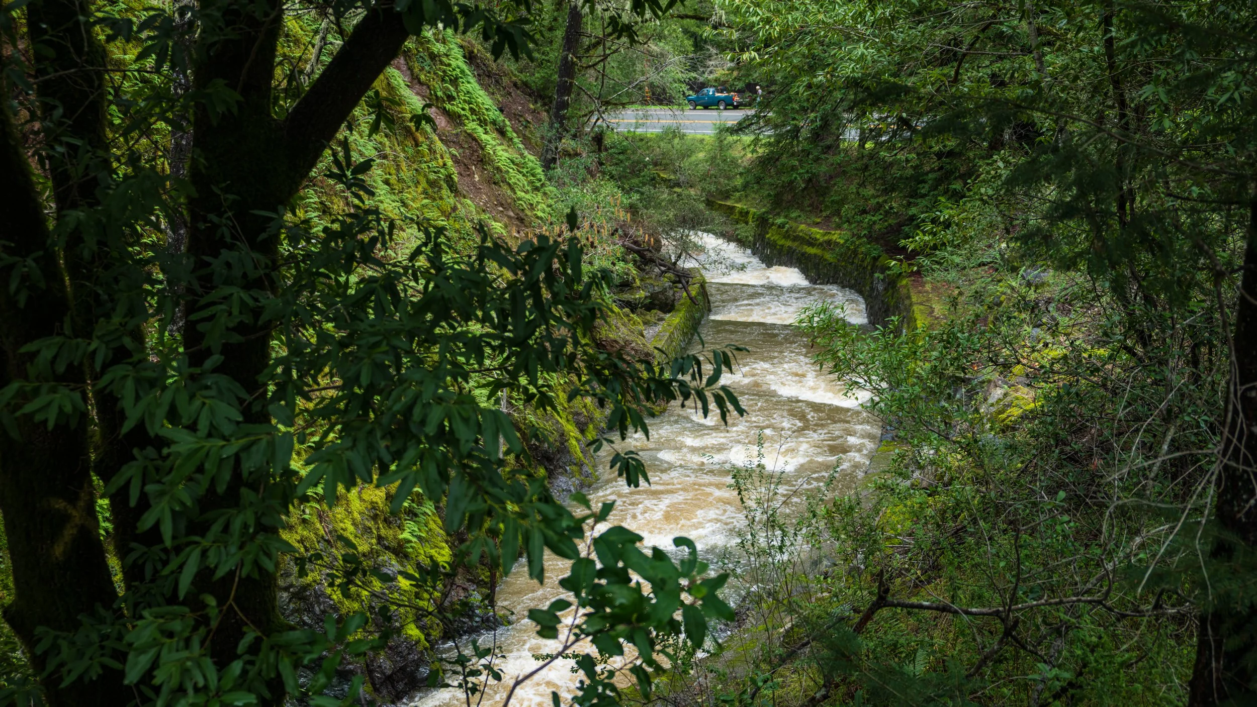 Outside Occidental, CA