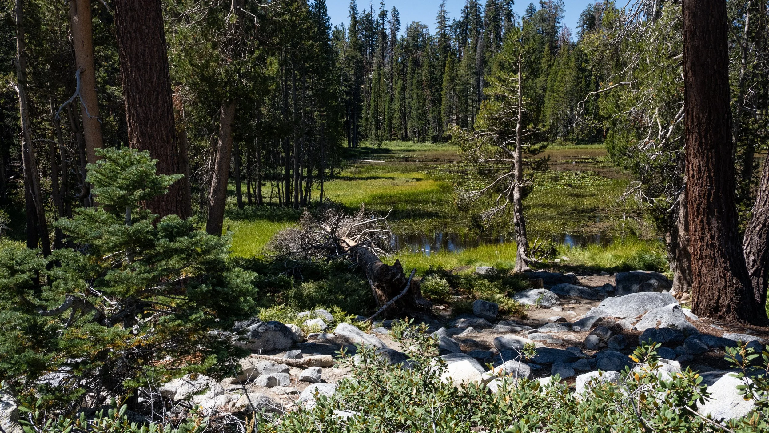 Yosemite National Park, California