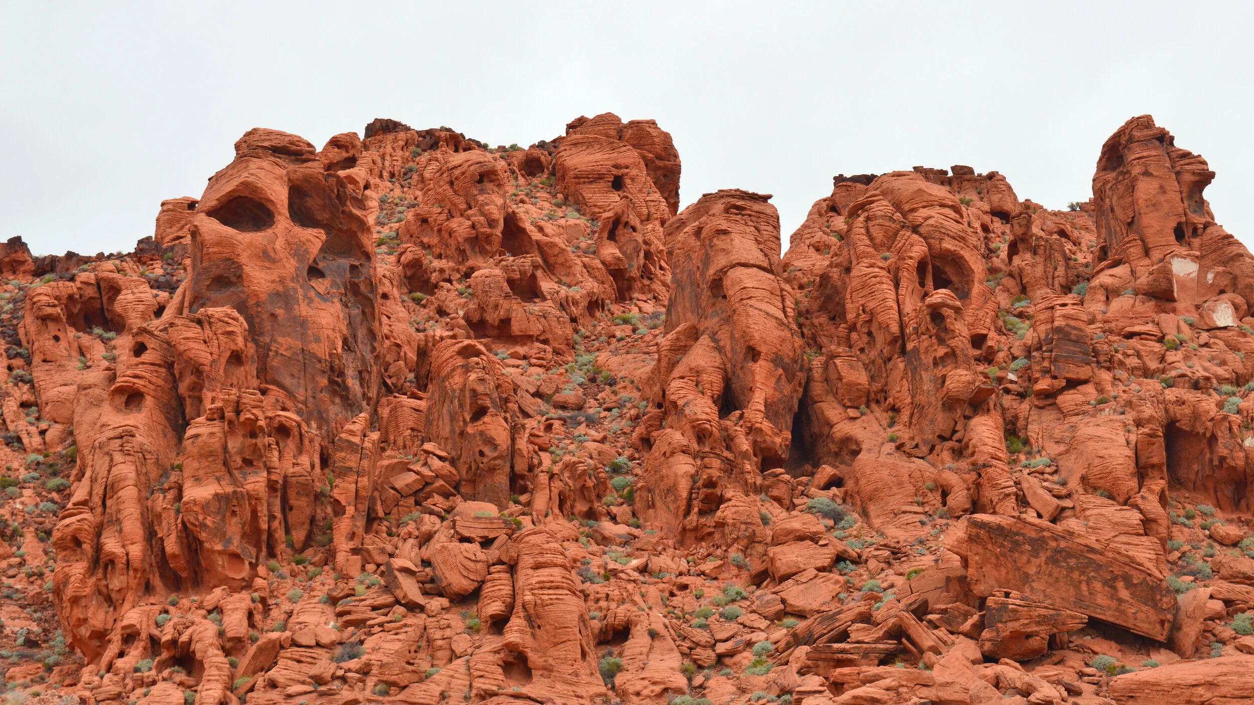 Red rock formations with unique shapes and textures, scattered with small desert plants, under an overcast sky.