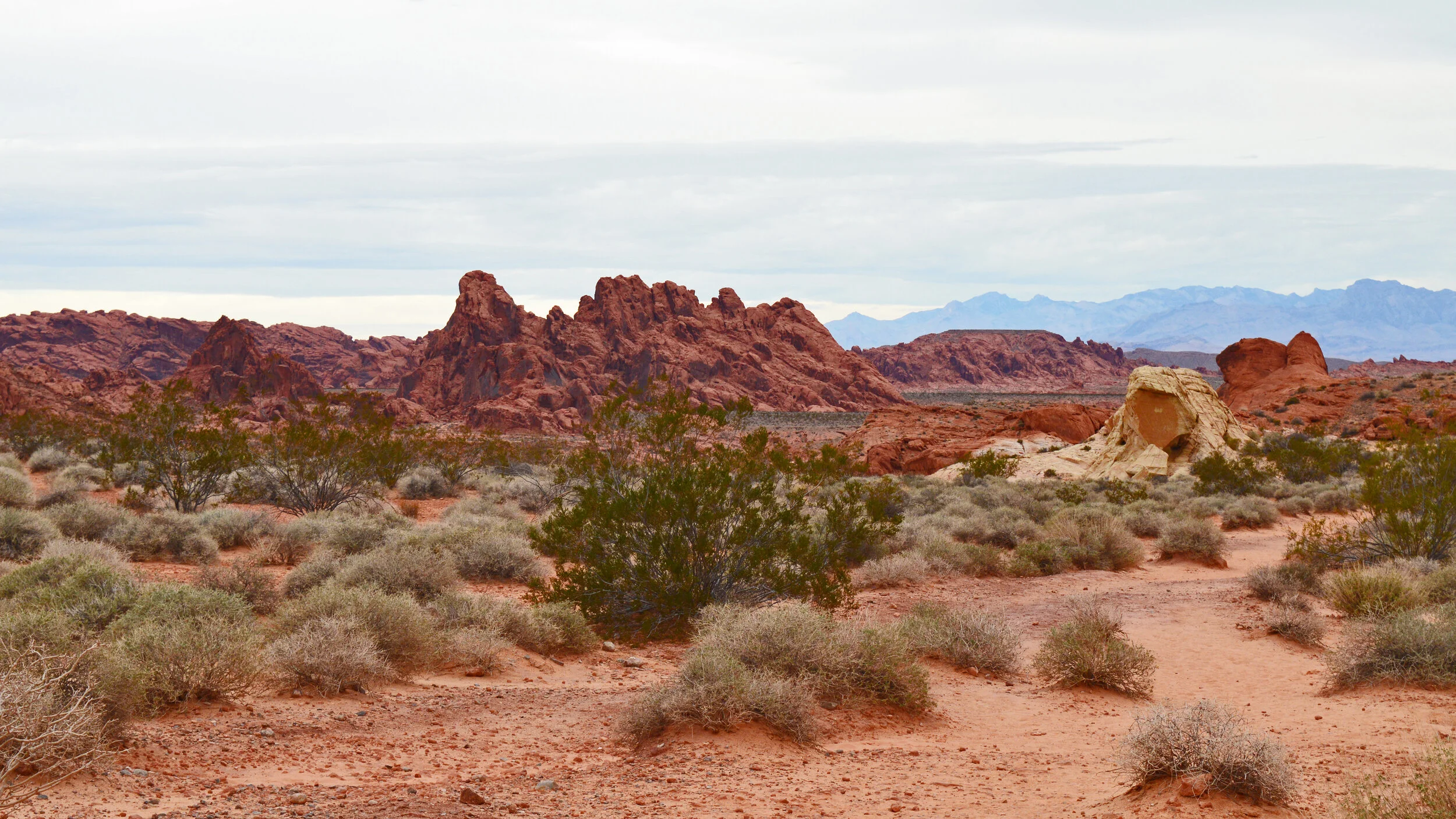 Desert landscape with red rock formations, sparse green bushes, and distant mountains under a cloudy sky.