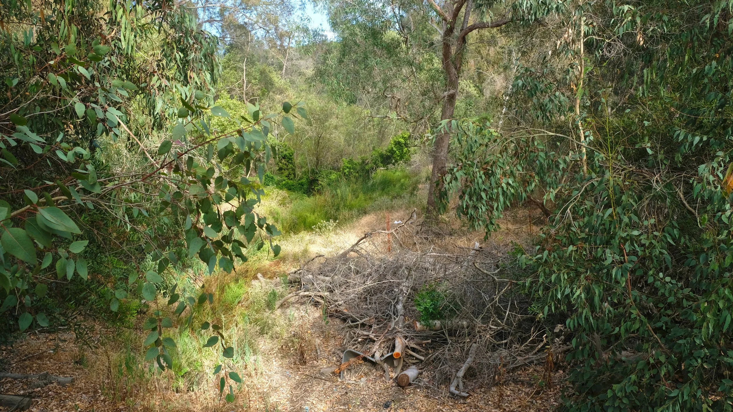 Aliso and Wood Canyon Wilderness Park, CA