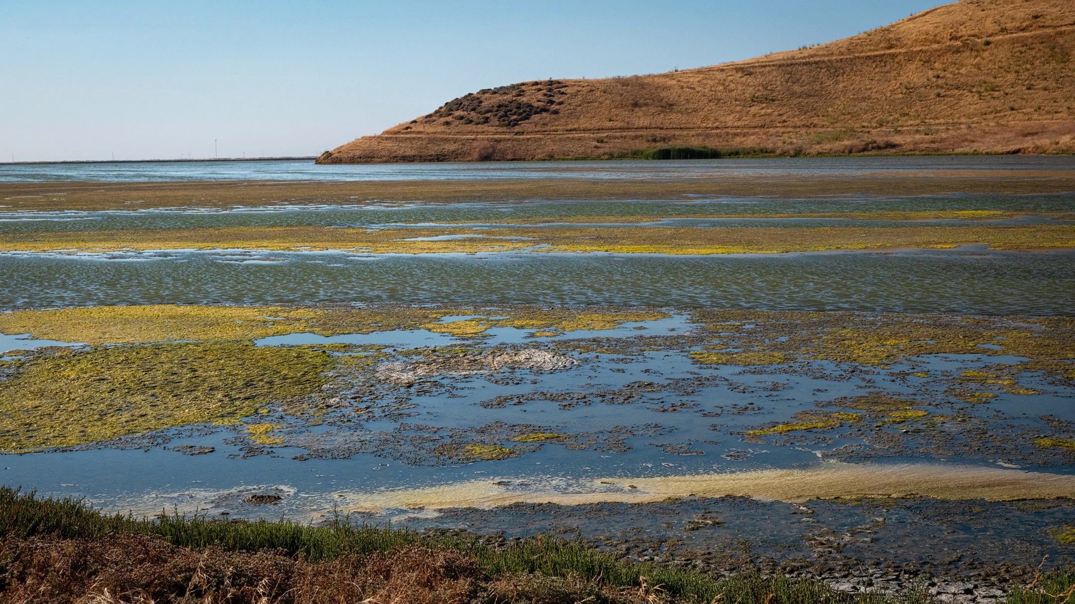 Eden Ecological Preserve, CA