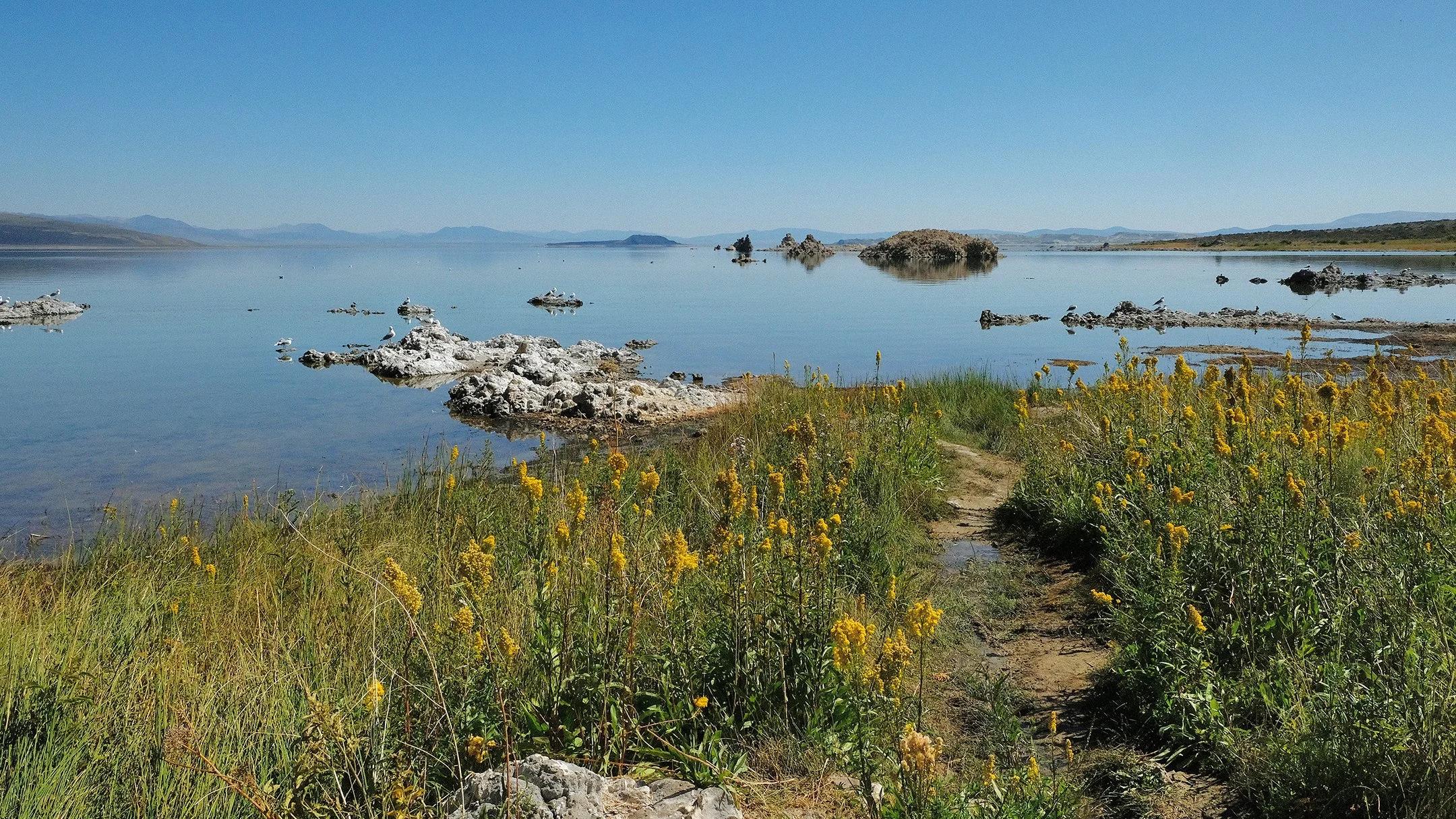 Mono Lake South Tufa, CA