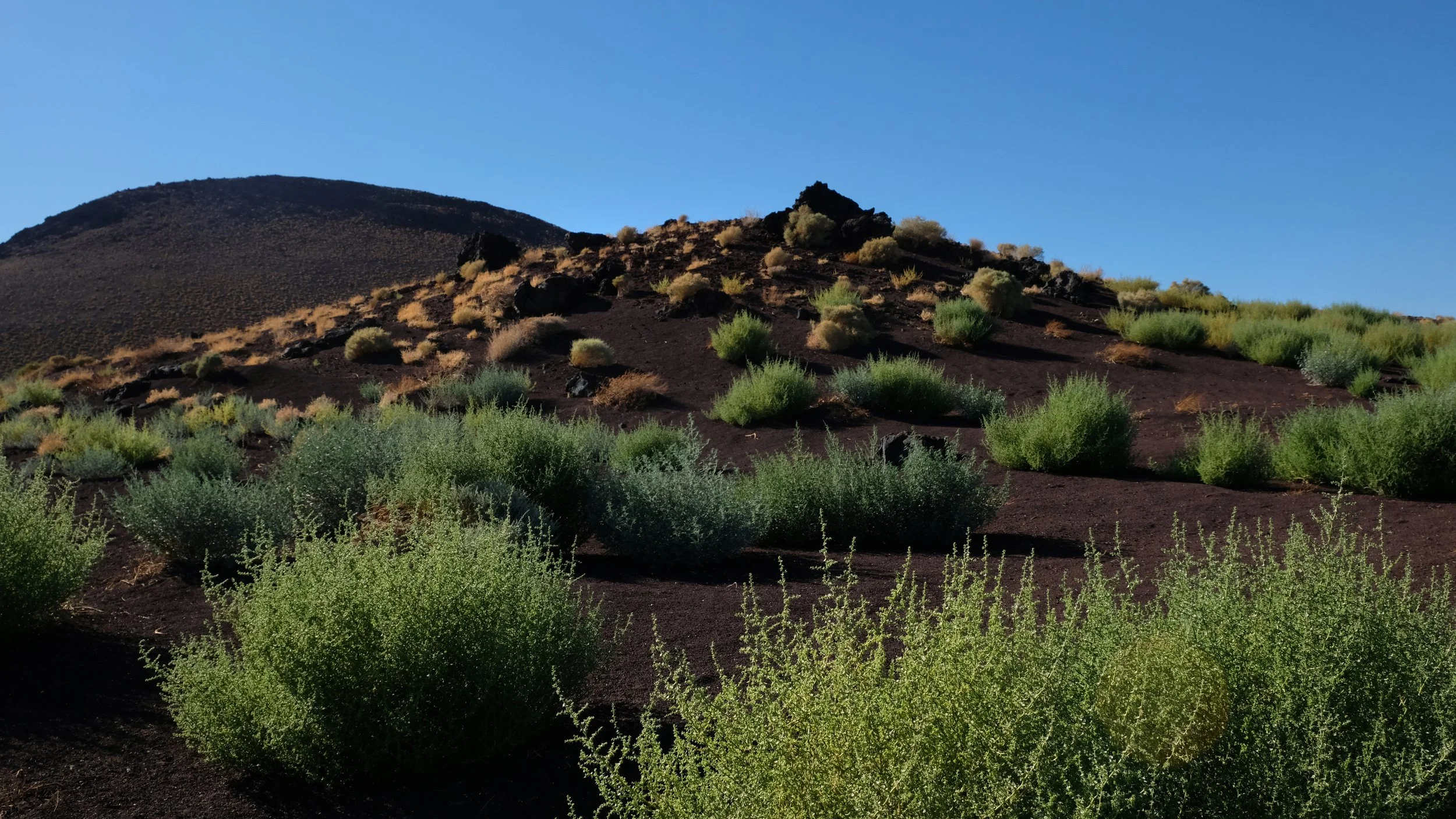 Fossil Falls, California
