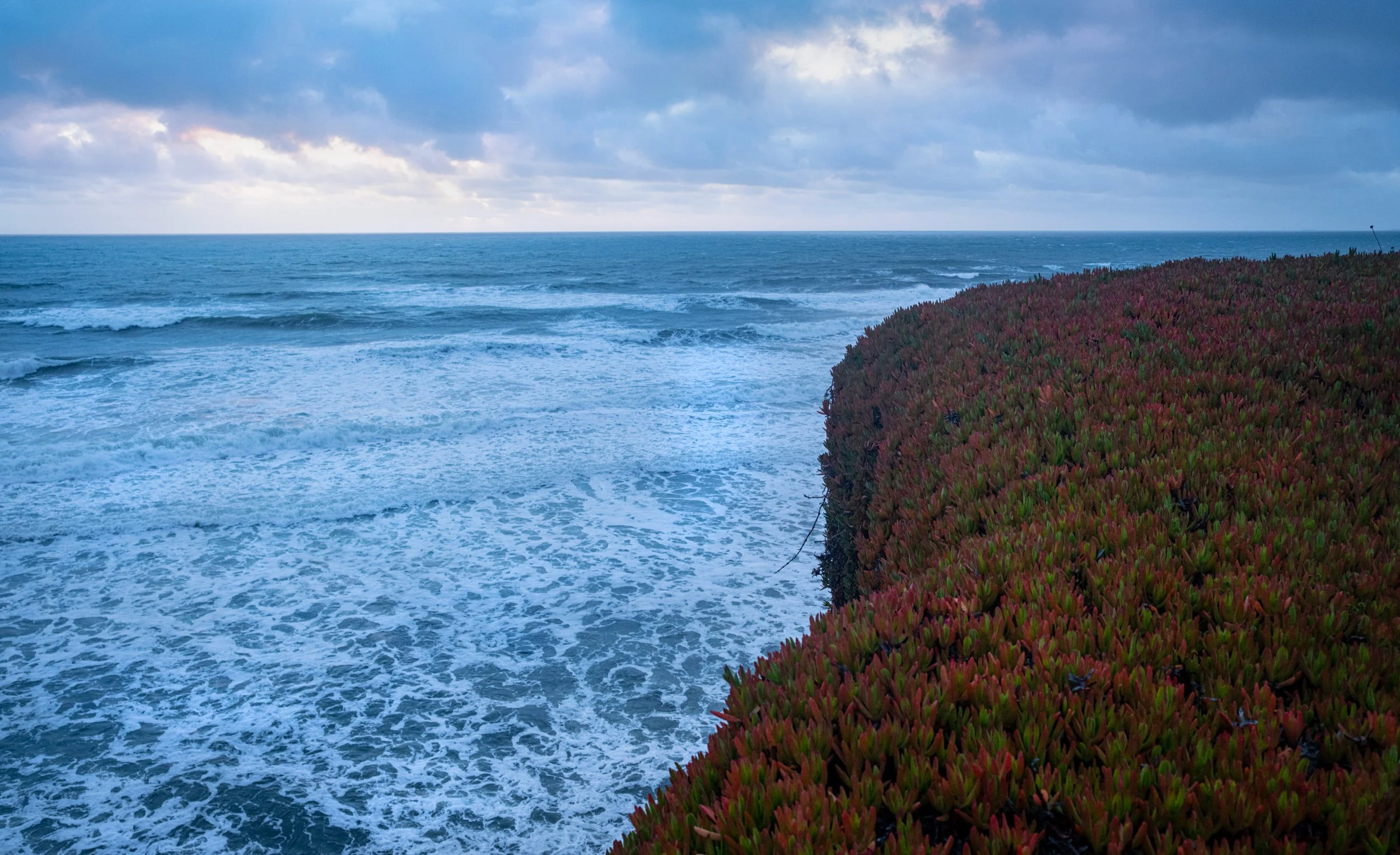 Off the Pacific Coast Highway, CA