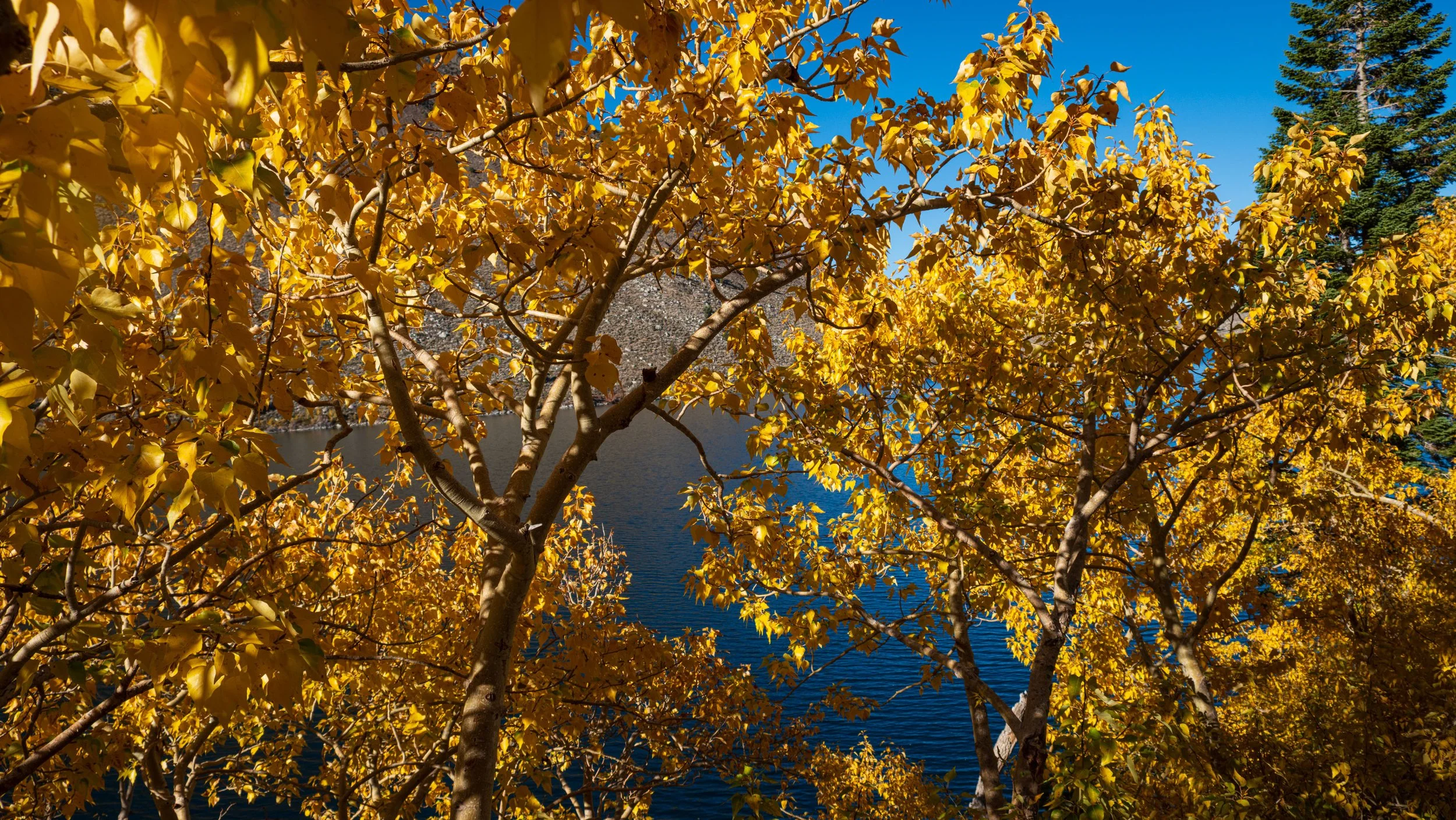 Convict Lake, Mammoth, CA