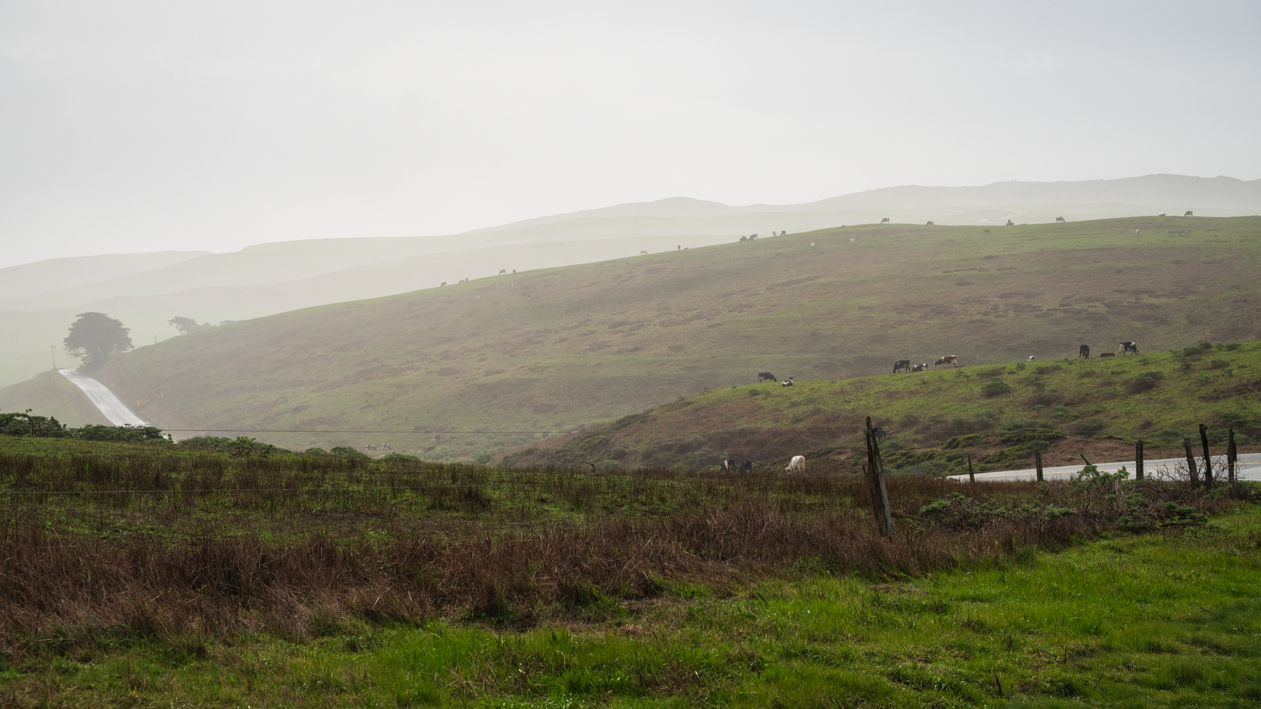 Point Reyes, CA