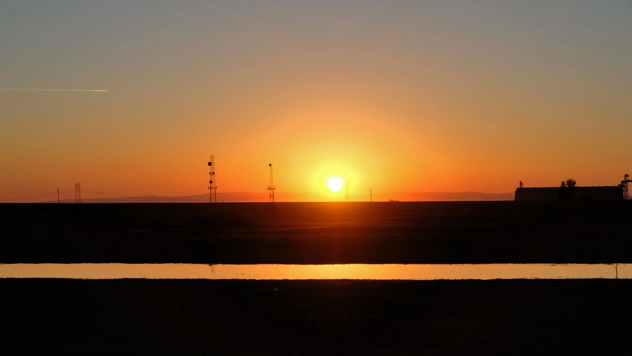 Yolo Wildlife Preserve, CA