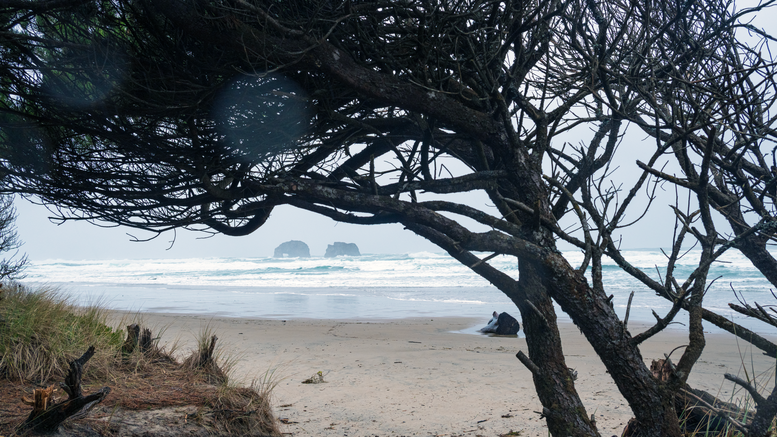 Twin Arches, Rockaway Beach, OR