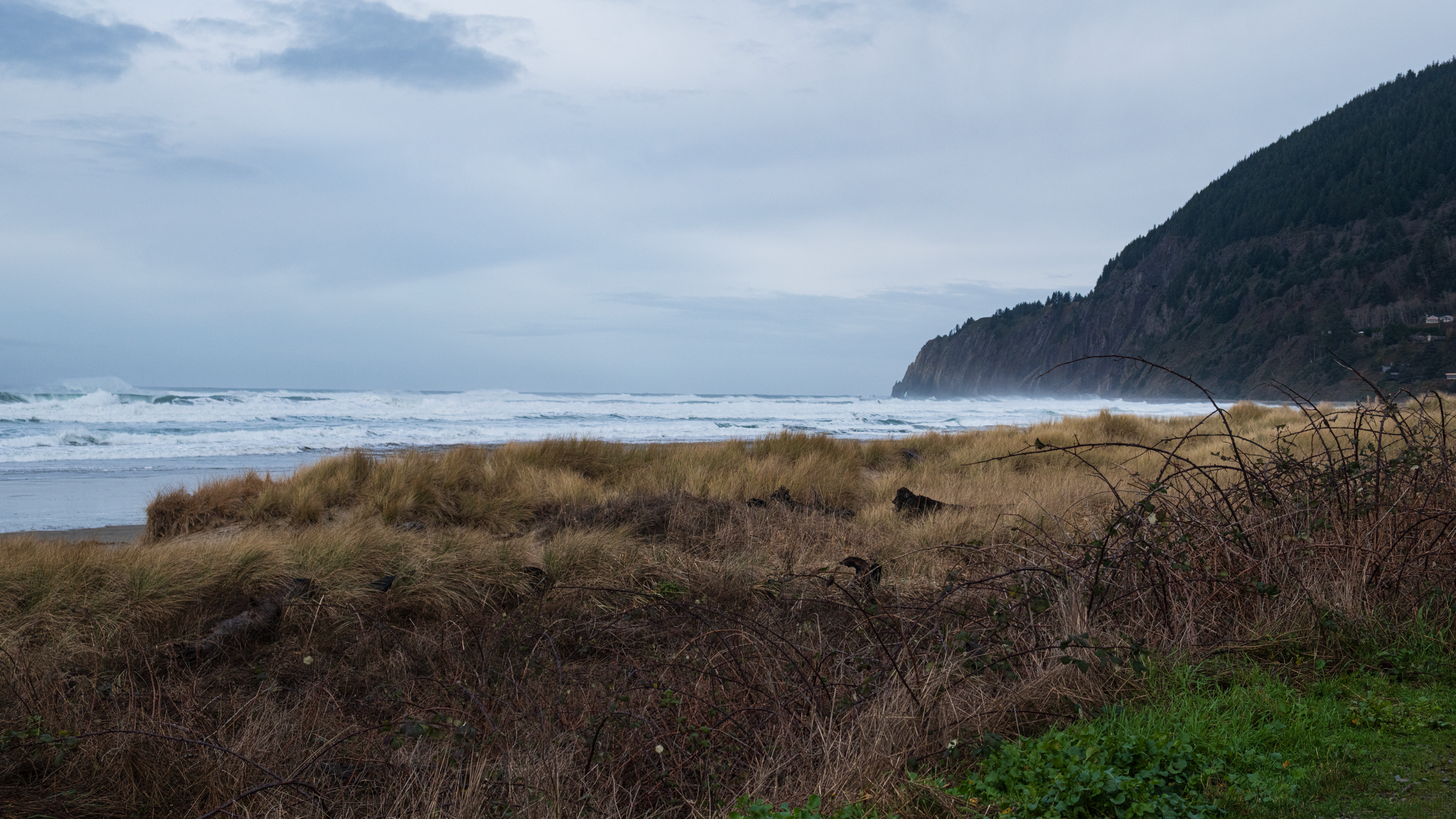 Southern Oregon Coast
