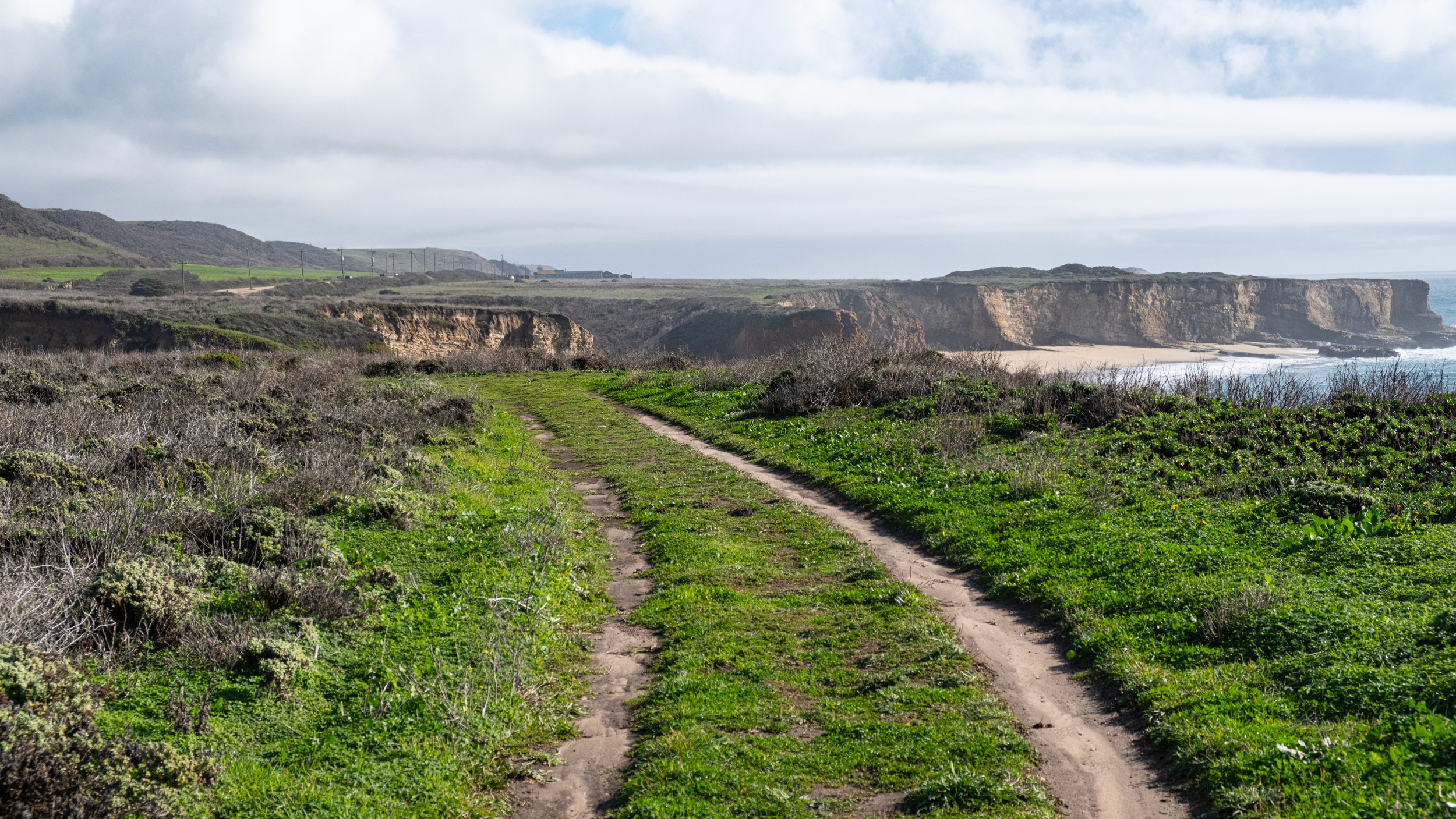 Off Pacific Coast Highway /  North of Santa Cruz