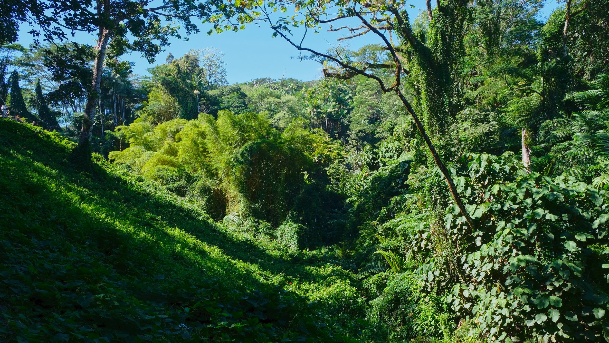 Akaka Falls State Park, Big Island