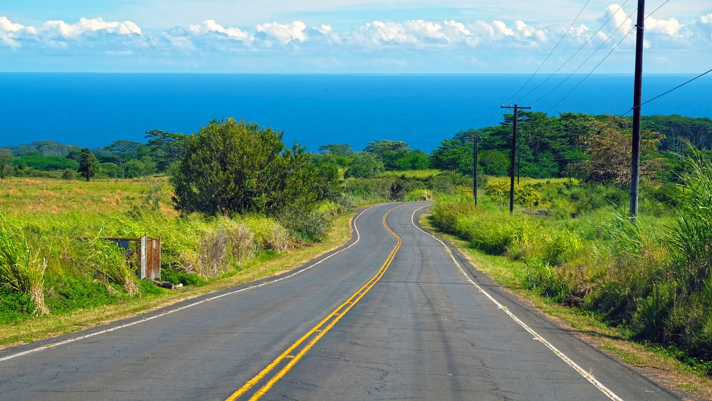 Big Island Blue, Hawaiʻi 