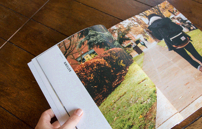 Art Direction as Editor-in-chief of SPU's Annual