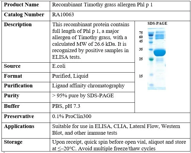 Recombinant Timothy Grass Allergen Phl p 1