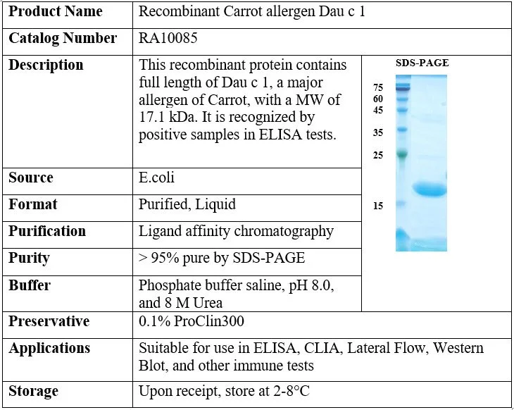 Carrot Recombinant Allergen (Dau c 1)