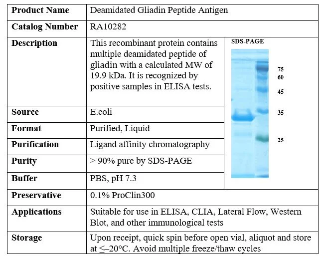 Recombinant Deamidated Gliadin Peptide Antigen