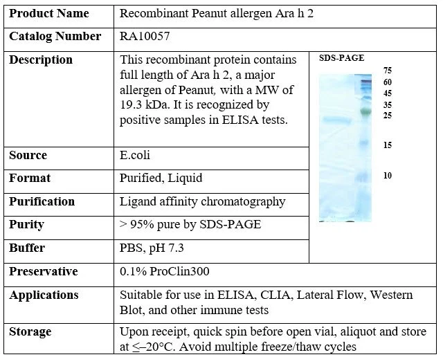 Recombinant Peanut allergen