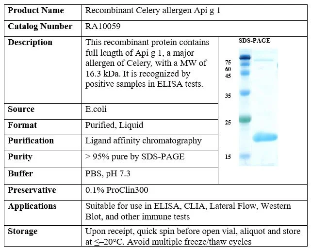 Celery Recombinant Allergen (Api g 1)