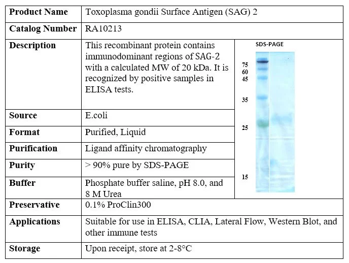 Toxoplasma gondii Surface Antigen (SAG) 2