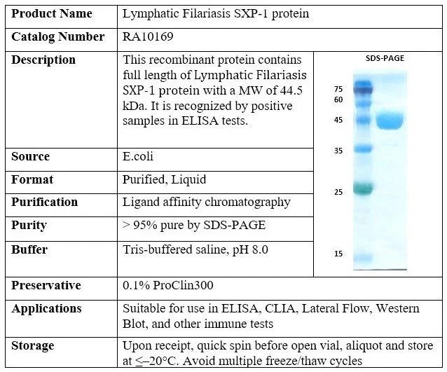 Lymphatic Filariasis SXP-1 Recombinant Protein