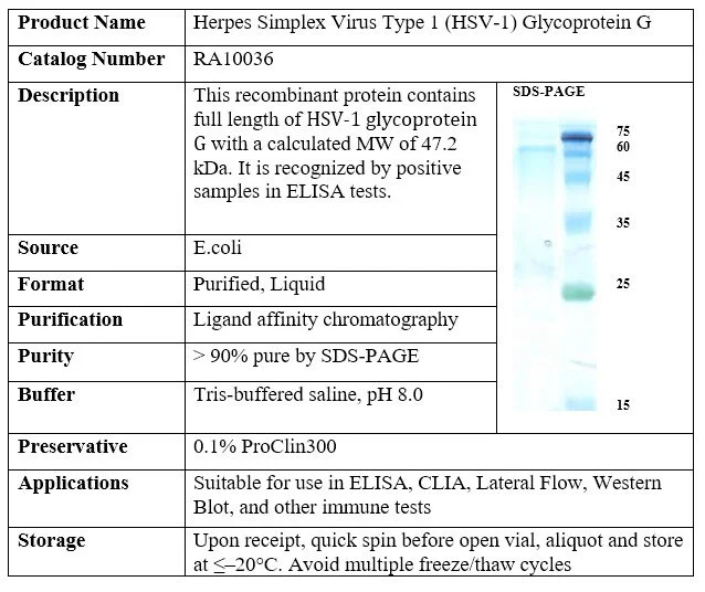 Herpes Simplex Virus Type 1 (HSV-1) Recombinant Glycoprotein G