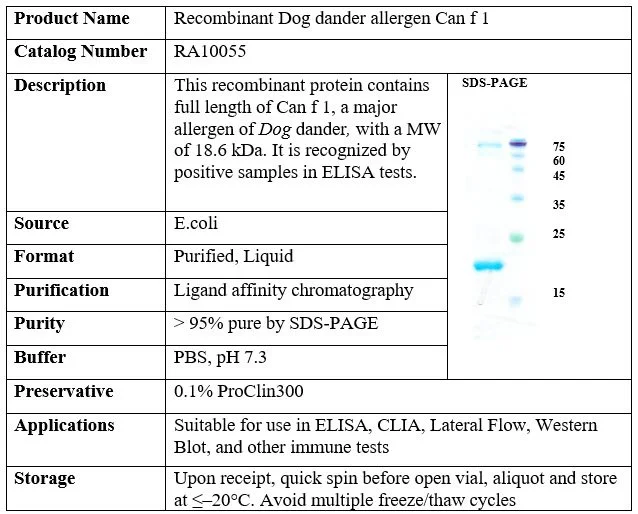 Recombinant Dog dander allergen