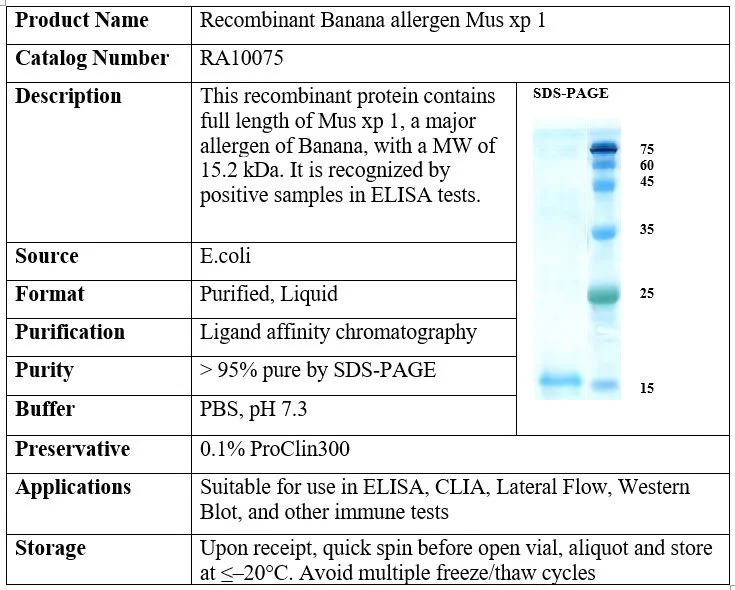 Banana Recombinant Allergen (Mus xp 1)