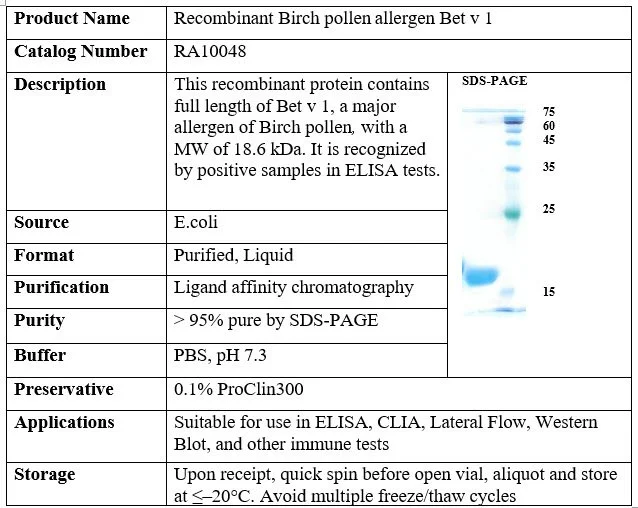 Recombinant Birch Pollen Allergen Bet v 1