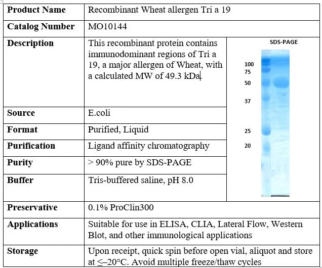 Recombinant Wheat Allergen Tri a 19