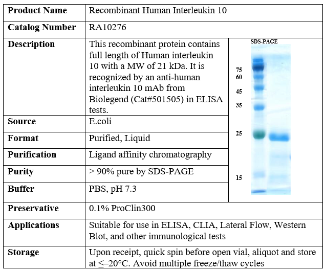 Recombinant Human Interleukin 10