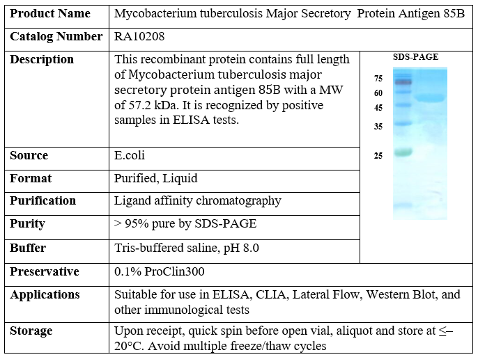 Mycobacterium tuberculosis Major Secretory Protein Antigen 85B