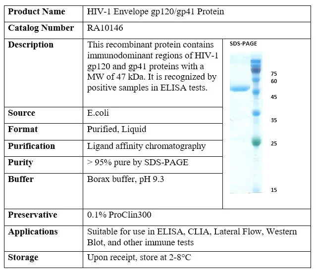 HIV-1 Envelope gp120/gp41 Recombinant Protein