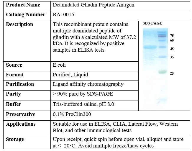 Recombinant Deamidated Gliadin Peptide Antigen