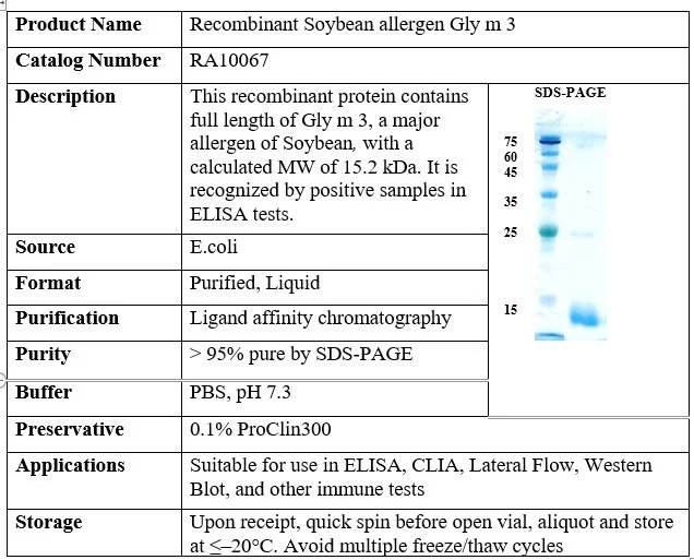 Soybean Recombinant Allergen (Gly m 3)