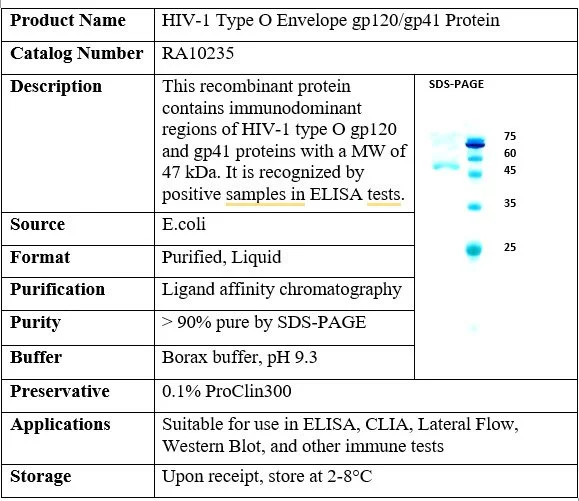 HIV-1 Type O Envelope gp120/gp41 Recombinant Protein