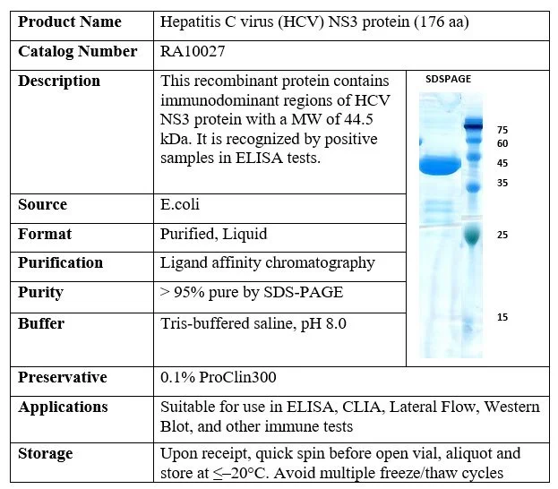 Hepatitis C virus (HCV) NS3 recombinant protein (176 aa)