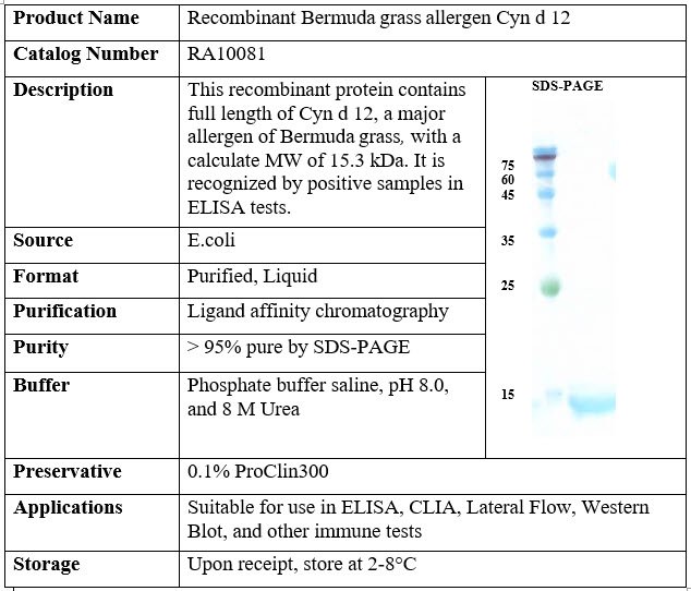 Recombinant Bermuda Grass Allergen Cyn d 12